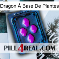 Dragon À Base De Plantes 04